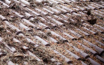 Werrington roof cleaning companies